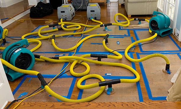 Professional Water Extraction technician working in Wellington, NV